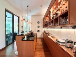 Toh Estate (D17), Detached #552397021